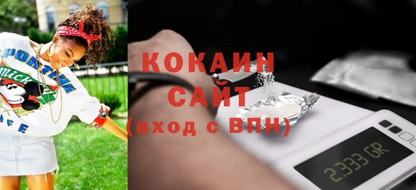 крисы Бородино