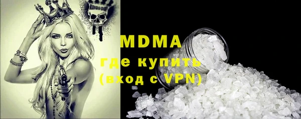 крисы Бородино