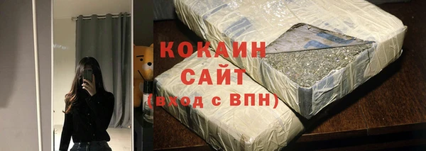 крисы Бородино