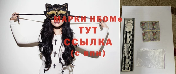 крисы Бородино