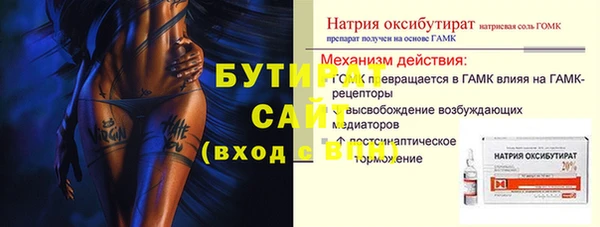 крисы Бородино