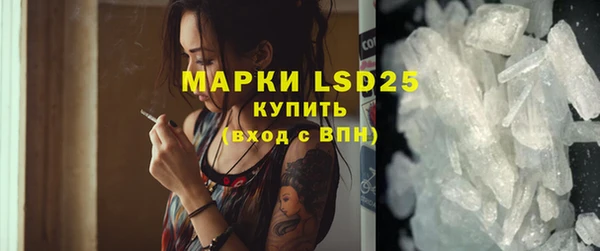крисы Бородино