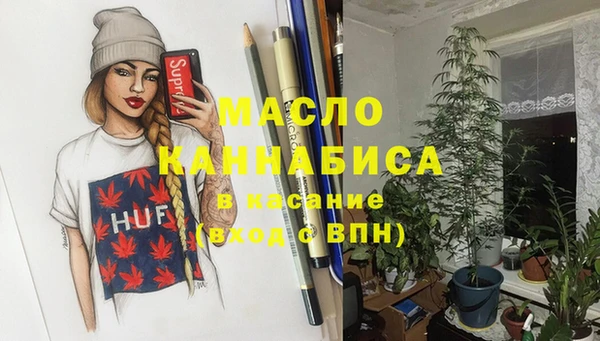 крисы Бородино