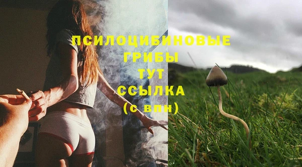 крисы Бородино