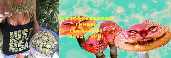 крисы Бородино