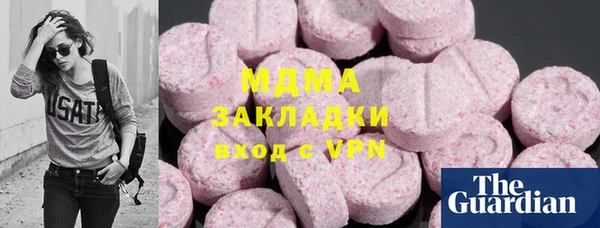 крисы Бородино