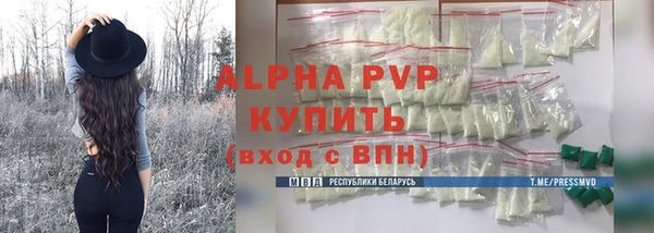 крисы Бородино