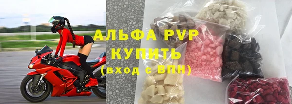 крисы Бородино